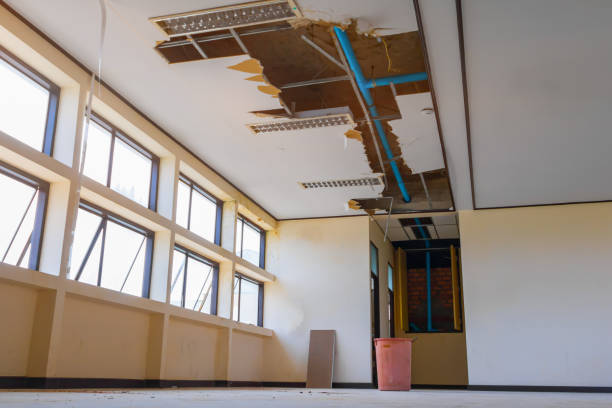 Best Water damage contractors near me  in Elroy, WI