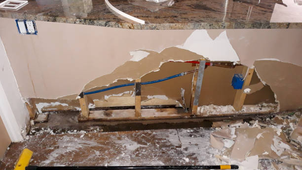 Best Emergency water damage restoration  in Elroy, WI