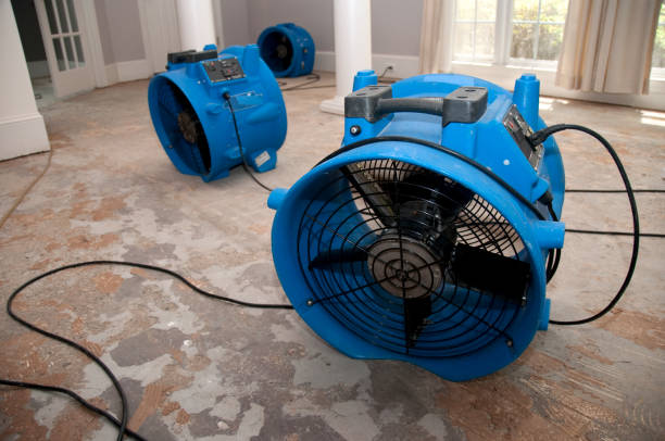 Best Emergency water damage restoration  in Elroy, WI