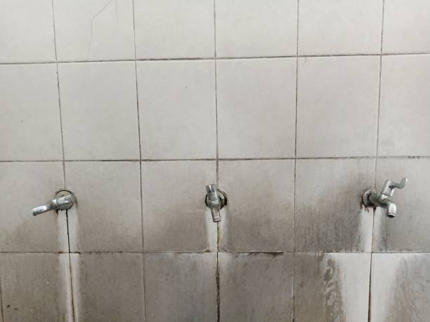 Best Water damage restoration experts  in Elroy, WI
