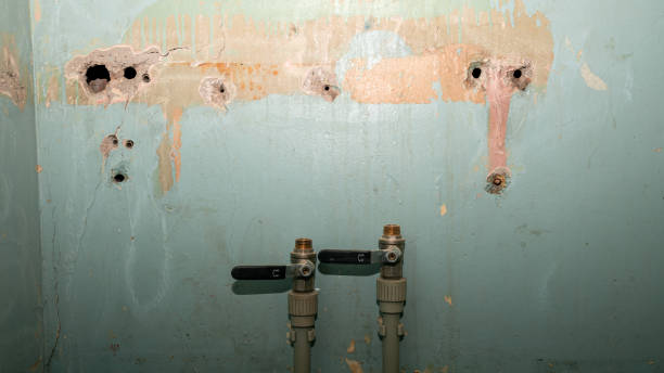 Best Water damage restoration near me  in Elroy, WI