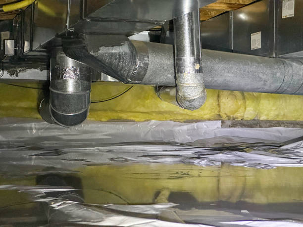 Best Flood damage cleanup  in Elroy, WI