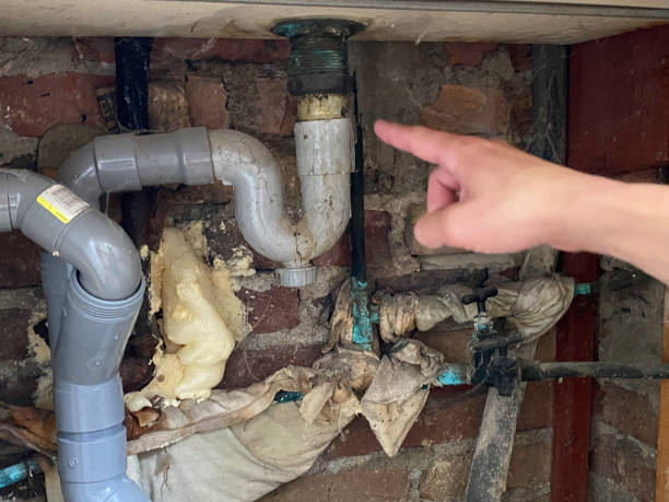 Best Flooded house restoration  in Elroy, WI