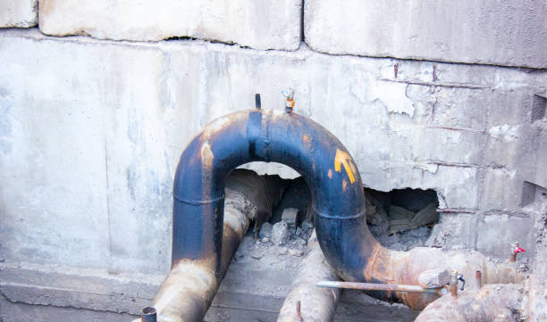 Best Ceiling water damage repair  in Elroy, WI