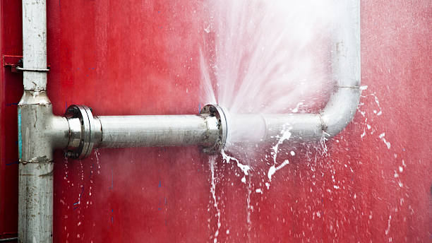 Best Fire Damage Restoration  in Elroy, WI