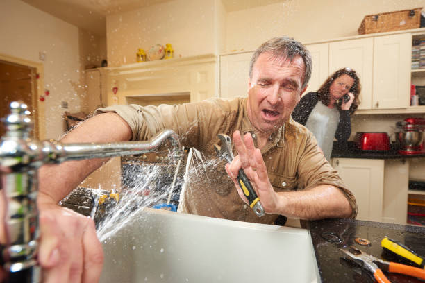 Best Commercial water damage restoration  in Elroy, WI